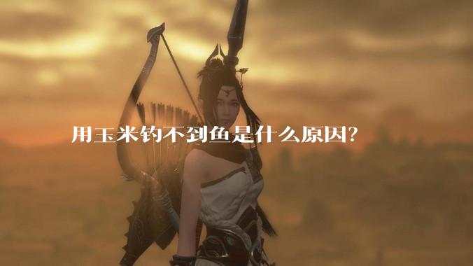 用玉米钓不到鱼是什么原因？